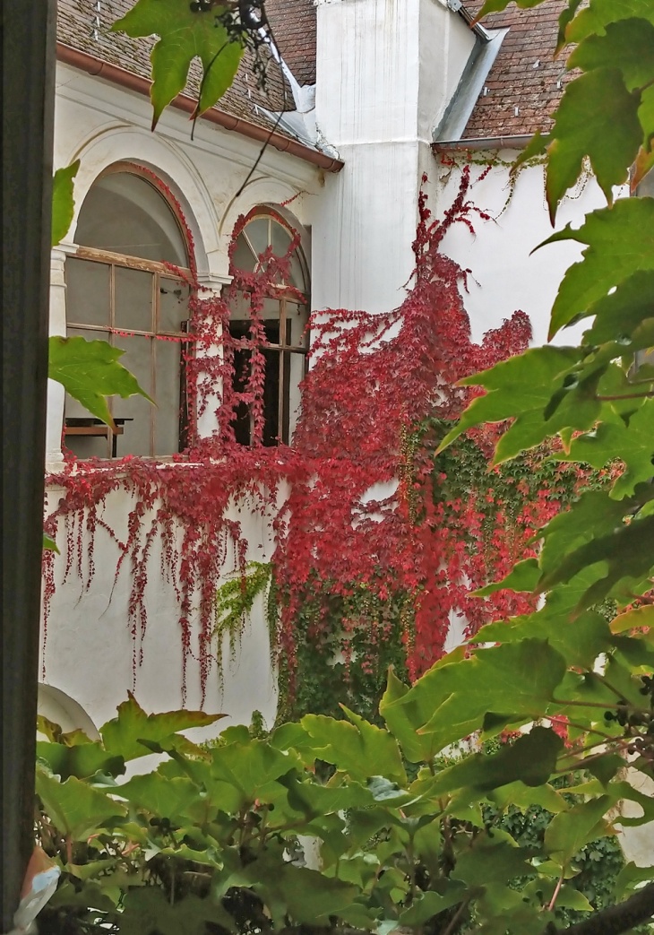 Schloss Albrechtsberg an der Pielach; Foto: Maria Pflug-Hofmayr