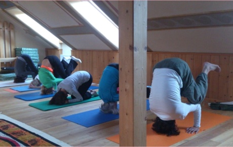 Yogaforyou mit Gerhard