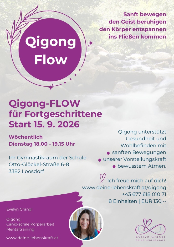 Qigong FLOW f&uuml;r Fortgeschrittene