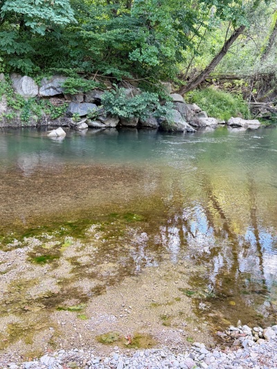 Fluss mit Steinen und Bäumen am Ufer, spiegelnde Wasseroberfläche