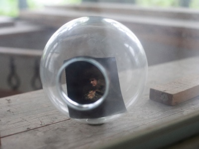 Ludwig XIV, Schirmherr der Reihe „l´ angle du hasard“