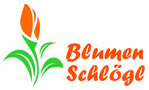Logo von Blumen Schlögl